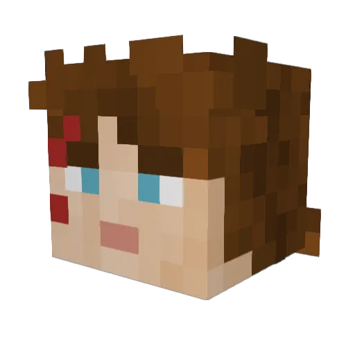Canakin Minecraft avatar head, 3D render