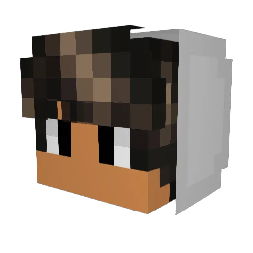 CanalDelQlo Minecraft avatar head, 3D render