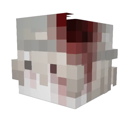 Canavara Minecraft avatar head, 3D render