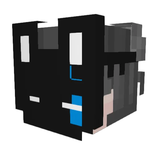 Cancan64 Minecraft avatar head, 3D render