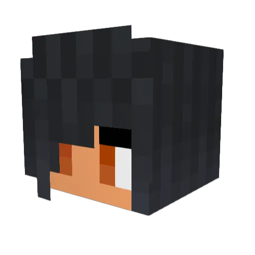 Cancancool Minecraft avatar head, 3D render