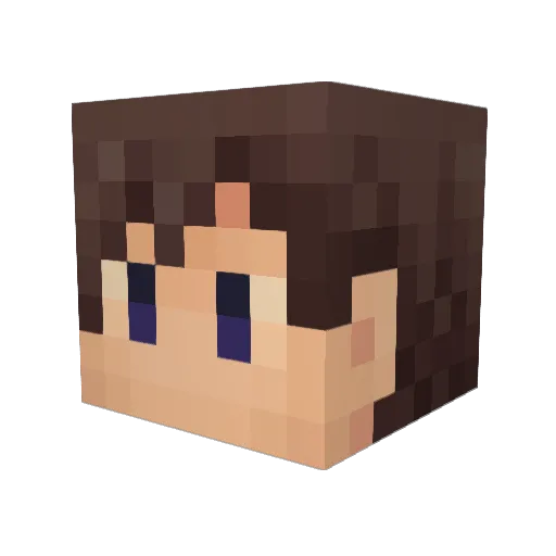 Cancel_Cancel Minecraft avatar head, 3D render