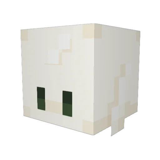 Cancer123456 Minecraft avatar head, 3D render