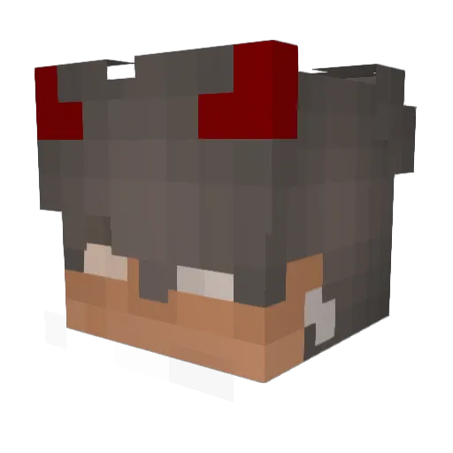 Cancer_1 Minecraft avatar head, 3D render