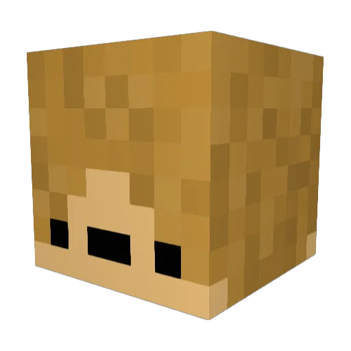 Cander8995 Minecraft avatar head, 3D render