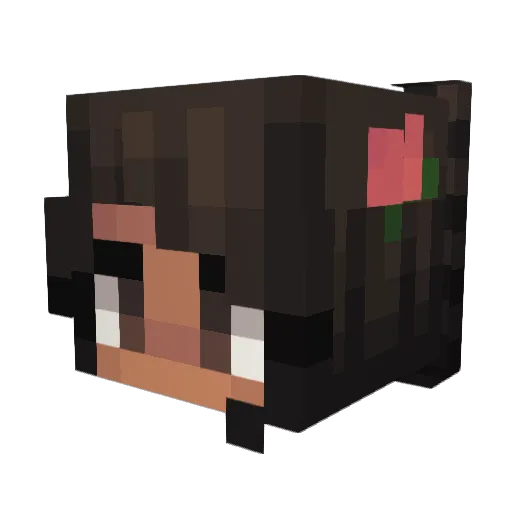 Canderyxe Minecraft avatar head, 3D render