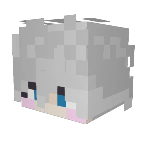 Candle_goblin Minecraft avatar head, 3D render