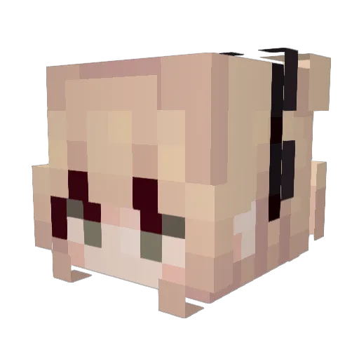 Canduu Minecraft avatar head, 3D render