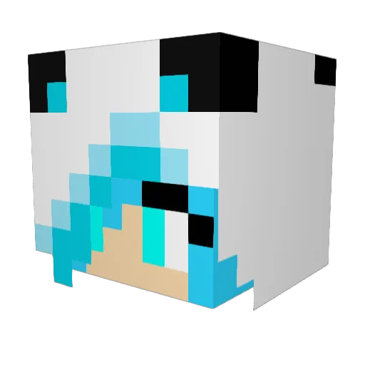 CandyButcher12 Minecraft avatar head, 3D render