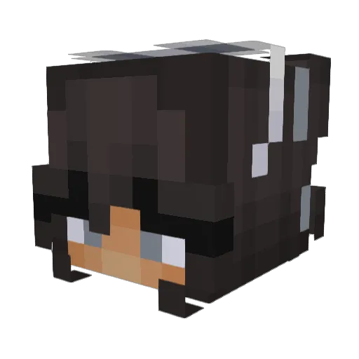 CandySock Minecraft avatar head, 3D render