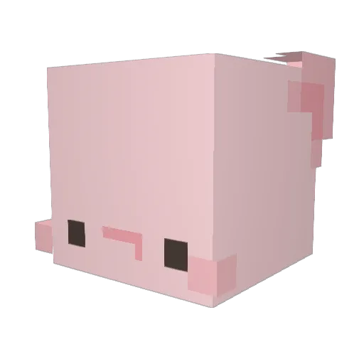 CandySpumoni Minecraft avatar head, 3D render