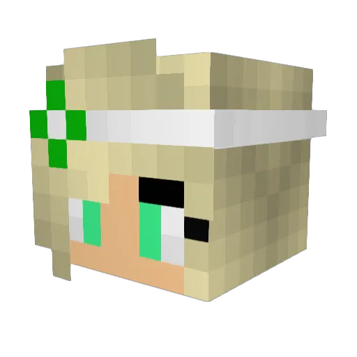 CandySwag16 Minecraft avatar head, 3D render