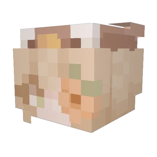 CandyTrail Minecraft avatar head, 3D render