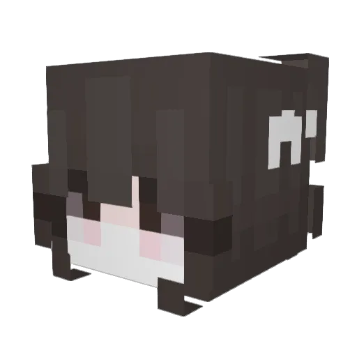 Candy__9 Minecraft avatar head, 3D render