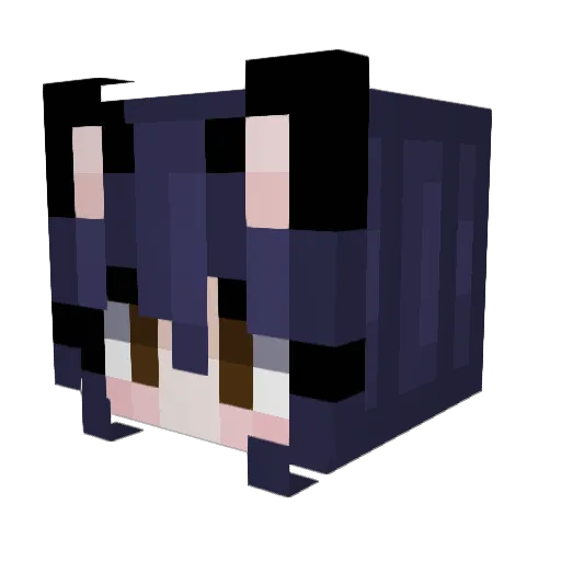 Candykat348 Minecraft avatar head, 3D render