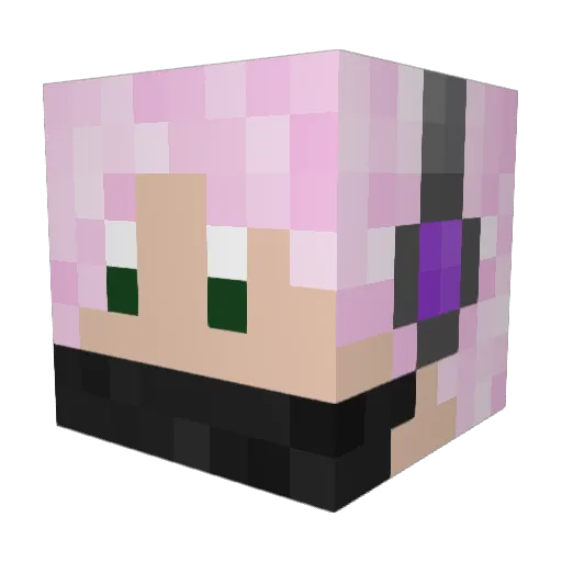 Candylfoss Minecraft avatar head, 3D render