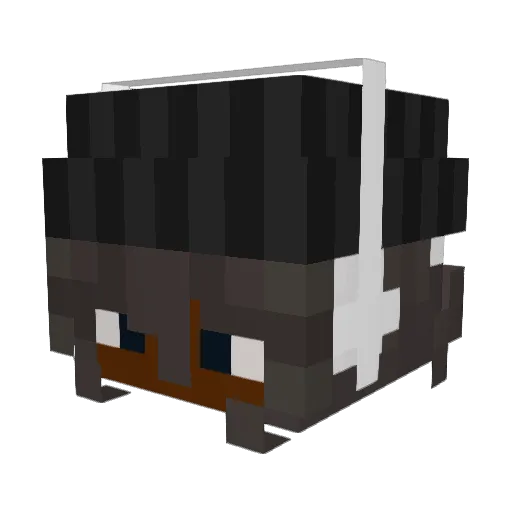 Candyman1700 Minecraft avatar head, 3D render