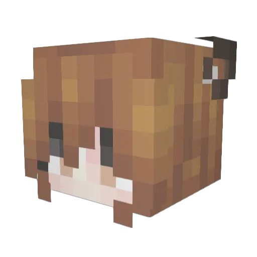 CandysCool Minecraft avatar head, 3D render