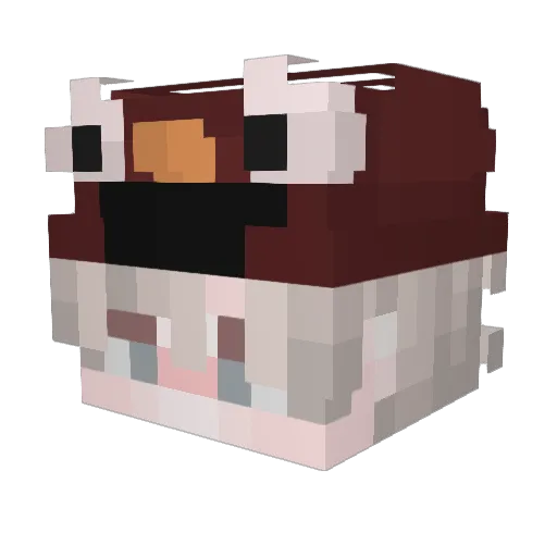 CanerBeyTR Minecraft avatar head, 3D render