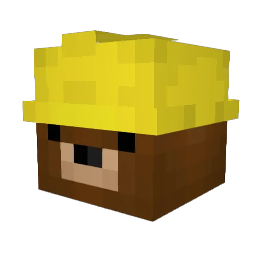 Cangrejo9630 Minecraft avatar head, 3D render