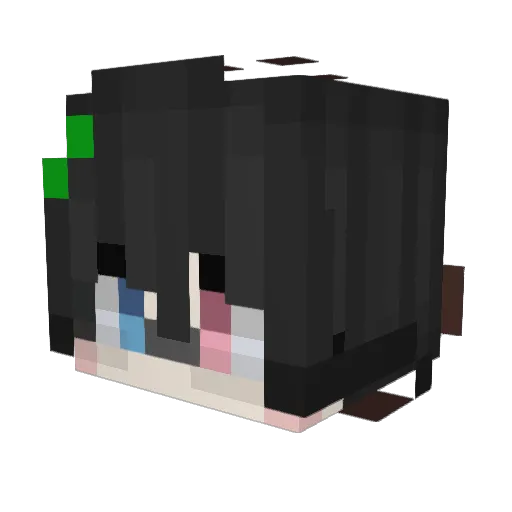 Cangy_lu Minecraft avatar head, 3D render