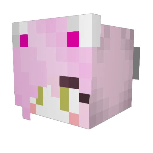 Canicus Minecraft avatar head, 3D render