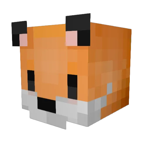 Caninii Minecraft avatar head, 3D render