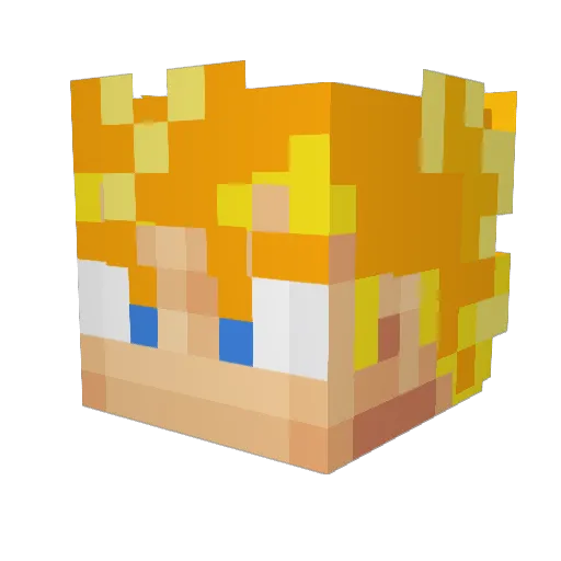 Caninmage_ Minecraft avatar head, 3D render