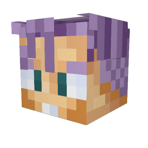 Canisis Minecraft avatar head, 3D render