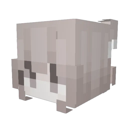 CannedAbis Minecraft avatar head, 3D render