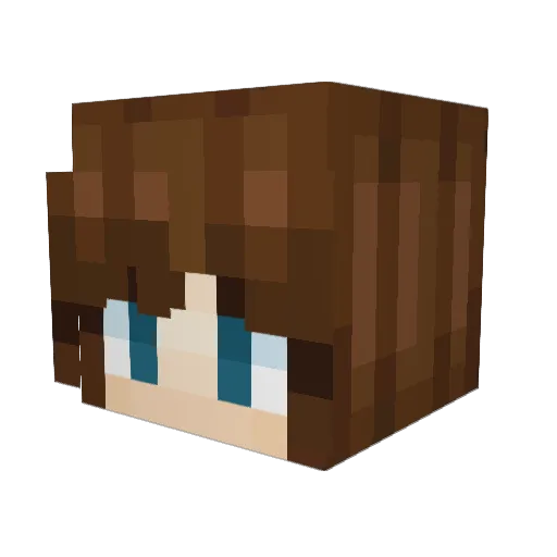 CannedBeanCat Minecraft avatar head, 3D render