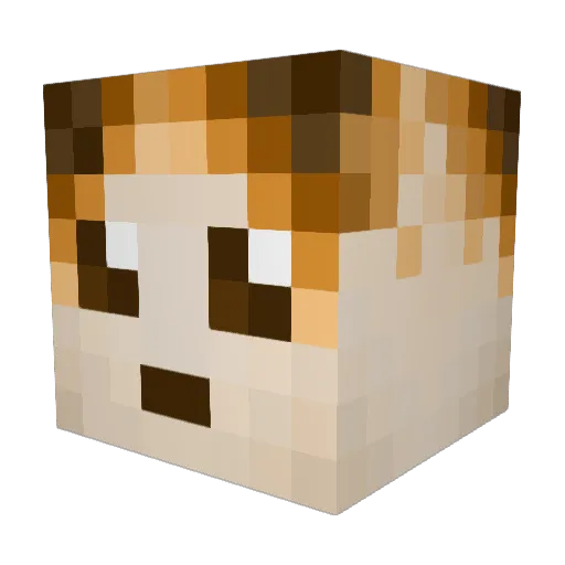 CannedJuice Minecraft avatar head, 3D render