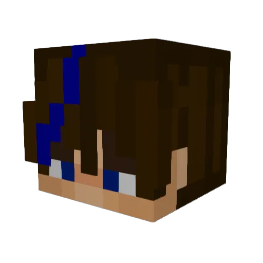 Canned_Moth Minecraft avatar head, 3D render