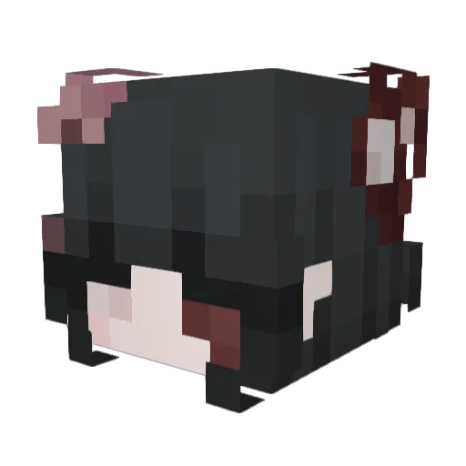 Cannibal_707 Minecraft avatar head, 3D render