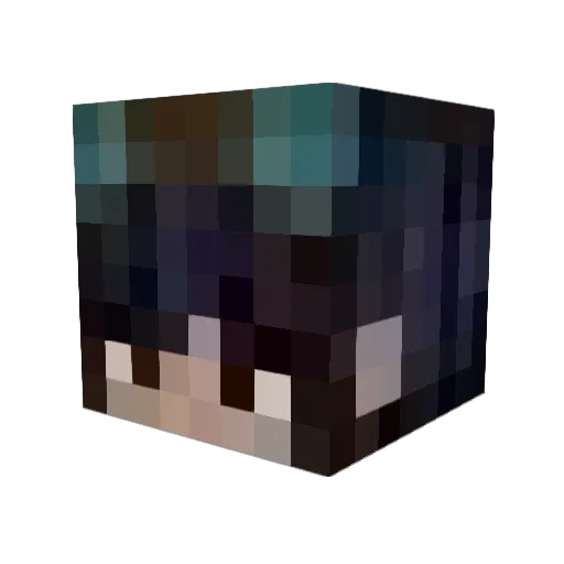 Cannibal_Salmon Minecraft avatar head, 3D render