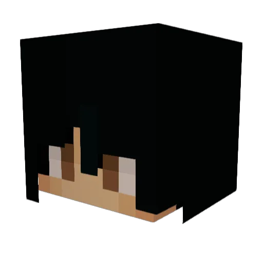 Cannikko01 Minecraft avatar head, 3D render