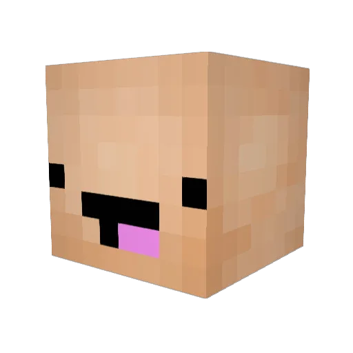 Cannner Minecraft avatar head, 3D render