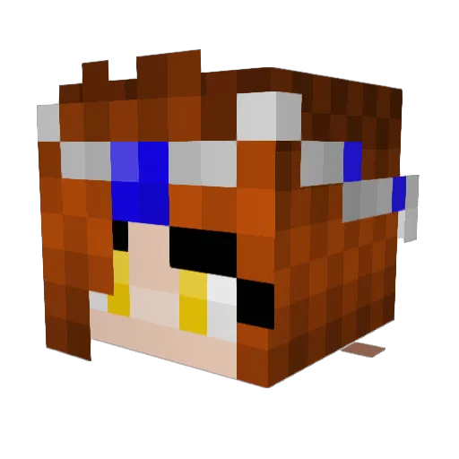 Cannoli1029 Minecraft avatar head, 3D render