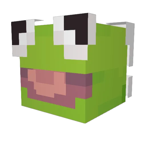 Cannonbackle Minecraft avatar head, 3D render