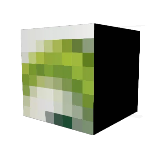 CannonsRCool Minecraft avatar head, 3D render