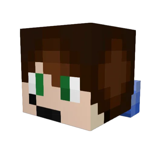 CannyToaster Minecraft avatar head, 3D render