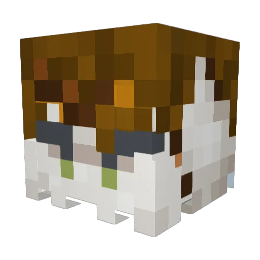 Canoa1 Minecraft avatar head, 3D render