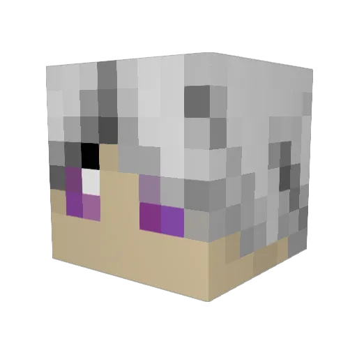 Cansuak Minecraft avatar head, 3D render