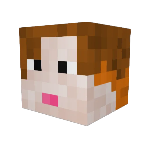 Cansux Minecraft avatar head, 3D render