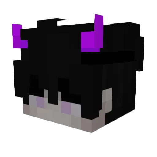 CantGetGoodNames Minecraft avatar head, 3D render