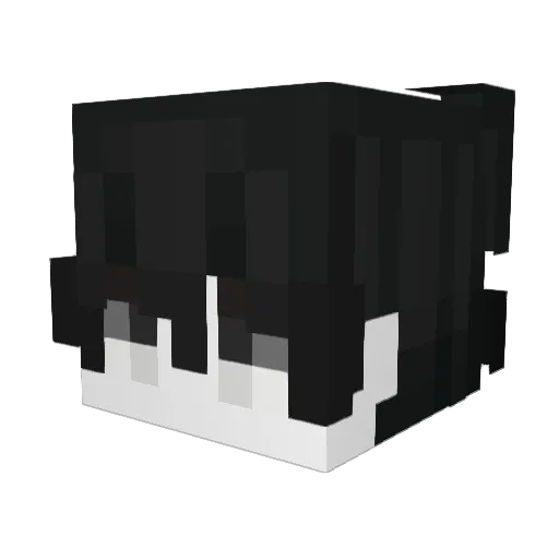 CantRod Minecraft avatar head, 3D render