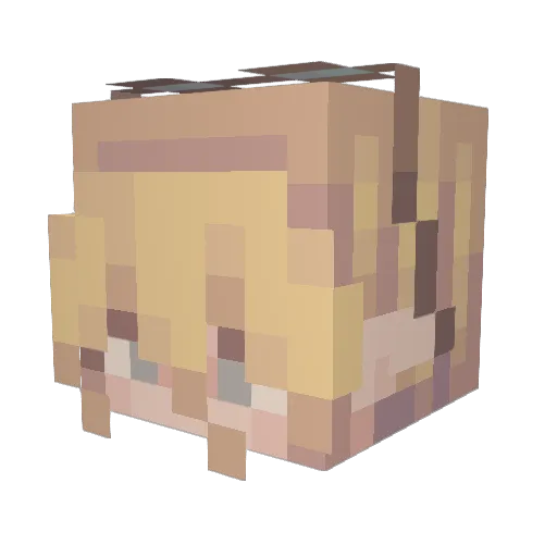CantStopWriting Minecraft avatar head, 3D render