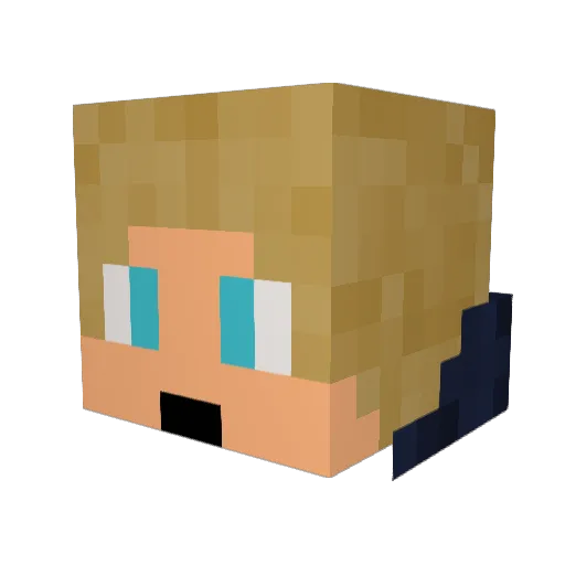 CanuckFan14 Minecraft avatar head, 3D render