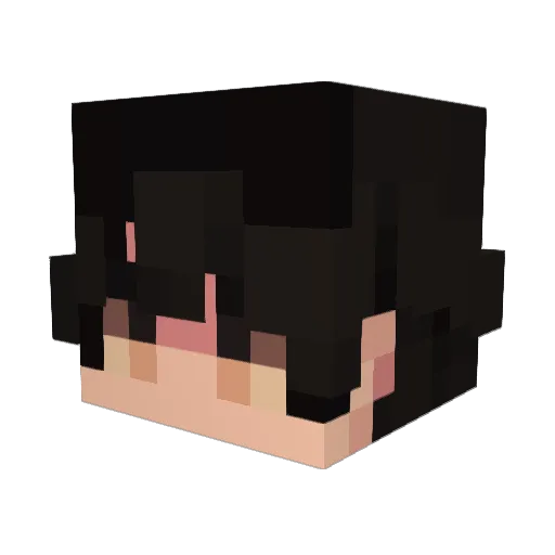CanuckRye Minecraft avatar head, 3D render