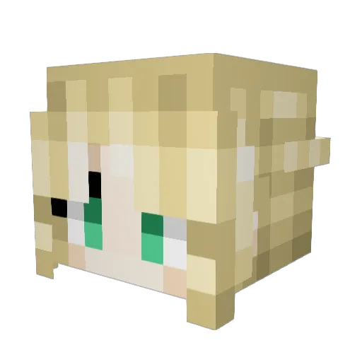 CaoTheSoulFire Minecraft avatar head, 3D render